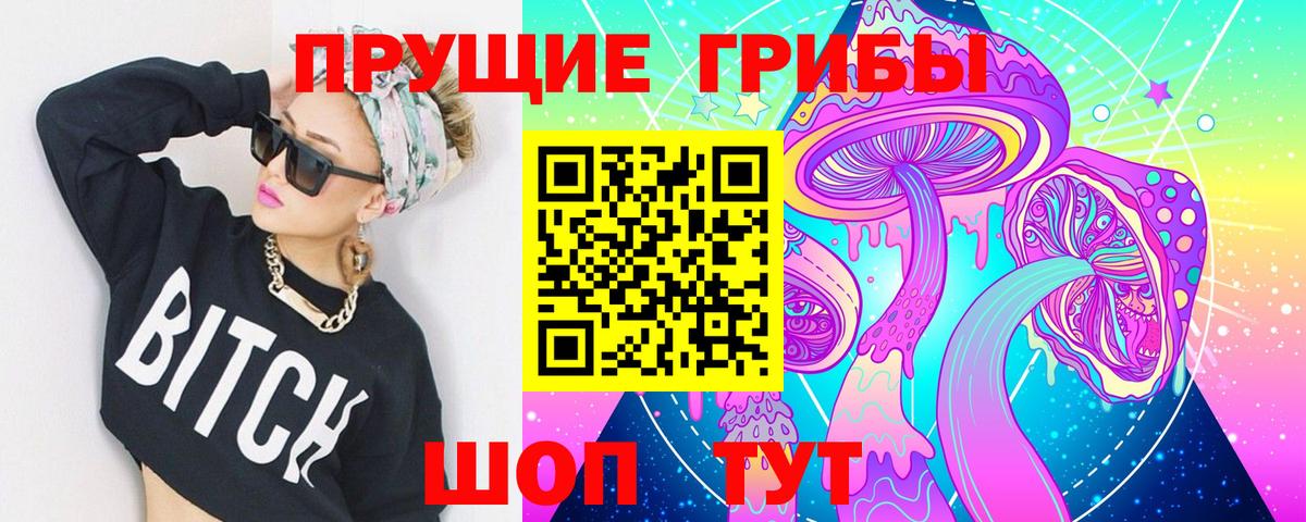 Псилоцибиновые грибы Psilocybine cubensis  где купить наркотик  Нововоронеж  Вход с VPN  Псилоцибиновые грибы Psilocybe 